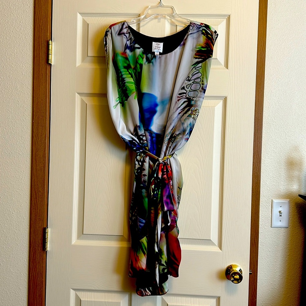 SUZI CHIN for Maggy Boutique Sleeveless Butterfly Dress Size 12